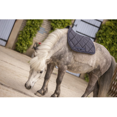 Paddock Sports Prems Zadeldek Paddock Sports Prems Zadeldek