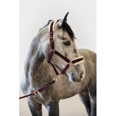 Halster en Longe Harcour Holly Viool Violet