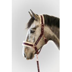 Halster en Longe Harcour Holly Viool Violet