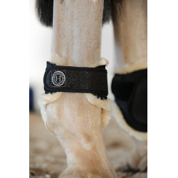 Beenbeschermers Harcour Totseen Zwart