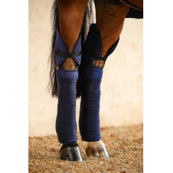 Harpijbeschermers Harcour Cavaletti Harpijbeschermers Harcour Cavaletti