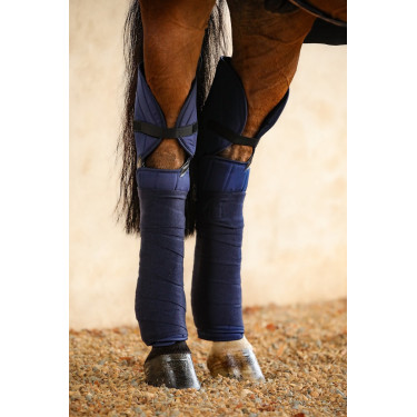 Harpijbeschermers Harcour Cavaletti Harpijbeschermers Harcour Cavaletti