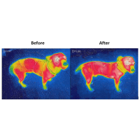 Couverture pour chien Bucas Therapy 150g Couverture pour chien Bucas Therapy 150g