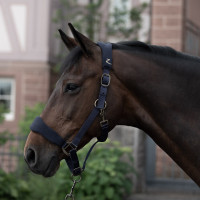 Gewatteerd halster Graz Horze Donkerblauwe peacoat