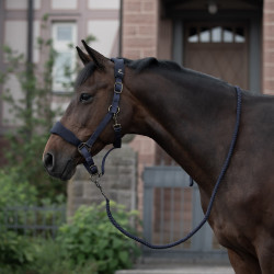 Gewatteerd halster Graz Horze Gewatteerd halster Graz Horze