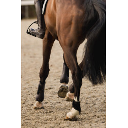 Gamaschen en kogelbeschermers Horze Armour Airflow Donkerbruin Gamaschen en kogelbeschermers Horze Armour Airflow Donkerbruin