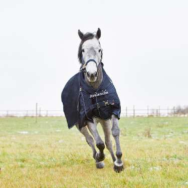 Winterdeken Horze Supreme Avalanche Pro Winterdeken Horze Supreme Avalanche Pro