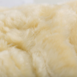 Gesloten peesbeschermers Horze Signature Zwart