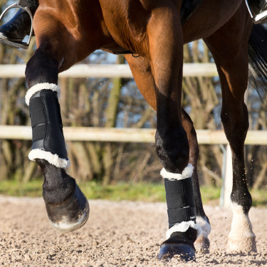 Gesloten peesbeschermers Horze Signature Zwart Gesloten peesbeschermers Horze Signature Zwart