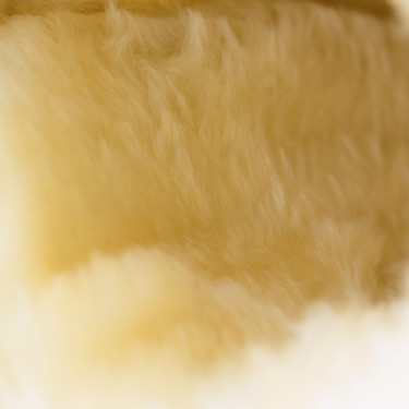 Gesloten peesbeschermers Horze Signature Zwart Gesloten peesbeschermers Horze Signature Zwart