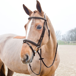 Rubberen teugels Fine Prise Horze met stops Rubberen teugels Fine Prise Horze met stops