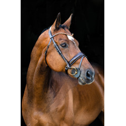 Anatomisch hoofdstel Clermont Horze Anatomisch hoofdstel Clermont Horze