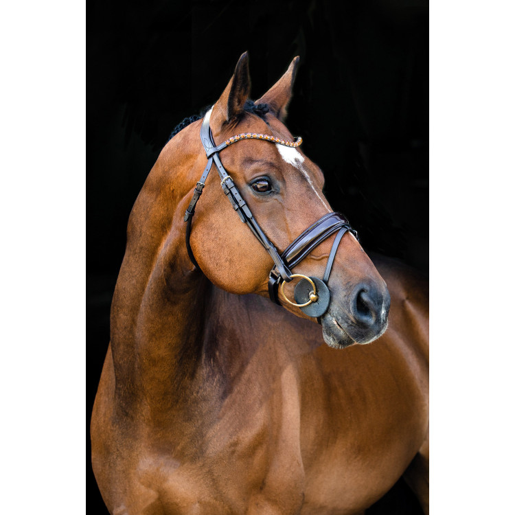 Anatomisch hoofdstel Clermont Horze Anatomisch hoofdstel Clermont Horze