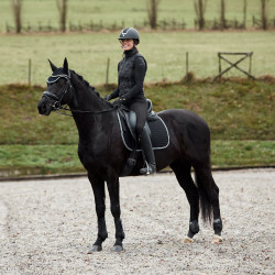 Dressuur zadeldek Adepto Horze Zwart Dressuur zadeldek Adepto Horze Zwart