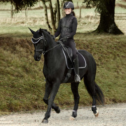 Dressuur zadeldek Adepto Horze Zwart Dressuur zadeldek Adepto Horze Zwart