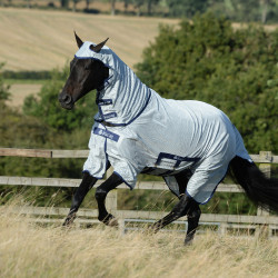 Vliegendeken Bucas Buzz-Off X Big Neck Vliegendeken Bucas Buzz-Off X Big Neck