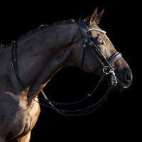 HV Polo Legacy deluxe hoofdstel Zwart HV Polo Legacy deluxe hoofdstel Zwart