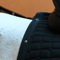 Zadeldek Imperial Riding Multiride DR Zwart