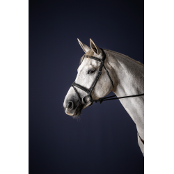 Bridon Sperriem Combinée Dy'on New English Collection