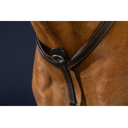 Jachtborsttuig met martingaal van Dy'on Bruin