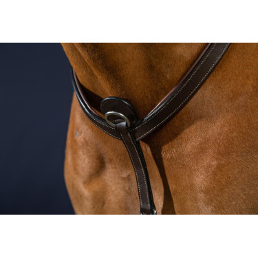 Jachtborsttuig met martingaal van Dy'on Bruin