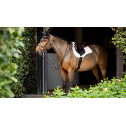 LeMieux schokdempend zadeldek mixte square ProSorb 2 Vakken Wit