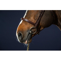 Bridon Sperriem Combinée Dy'on New English Collection Zwart