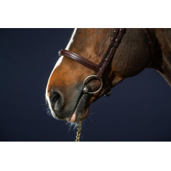 Bridon Sperriem Combinée Dy'on New English Collection Bruin Bridon Sperriem Combinée Dy'on New English Collection Bruin