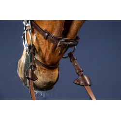 Bridon Sperriem Combinée Dy'on New English Collection Bruin Bridon Sperriem Combinée Dy'on New English Collection Bruin