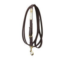 Kentucky longeerlijn Bruin