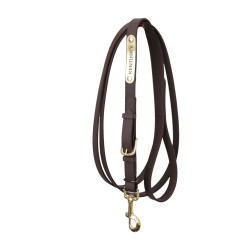 Kentucky longeerlijn Bruin