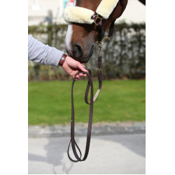 Kentucky longeerlijn Bruin