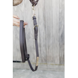 Kentucky longeerlijn Bruin