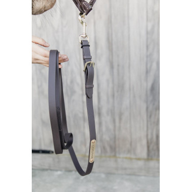 Kentucky longeerlijn Bruin