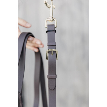 Kentucky longeerlijn Bruin