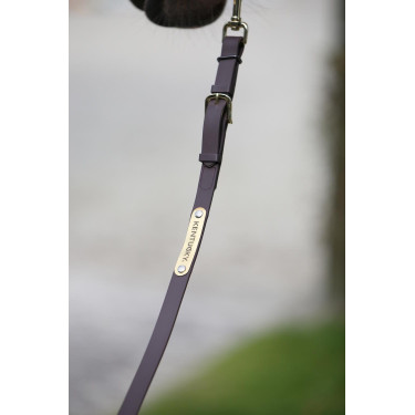 Kentucky longeerlijn Bruin