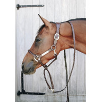 Lijn en presentatieketting van leer Kentucky Bruin Lijn en presentatieketting van leer Kentucky Bruin