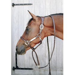 Lijn en presentatieketting van leer Kentucky