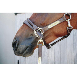 Lijn en presentatieketting van leer Kentucky Bruin Lijn en presentatieketting van leer Kentucky Bruin