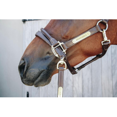 Lijn en presentatieketting van leer Kentucky Lijn en presentatieketting van leer Kentucky