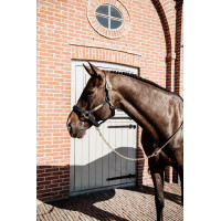 Lange Presentatie in Leer Kentucky Zwart