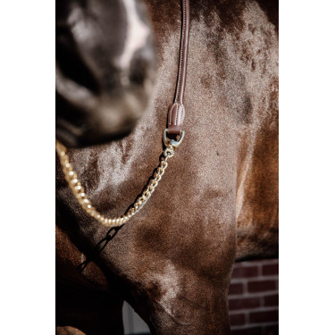 Lange Presentatie in Leer Kentucky Bruin