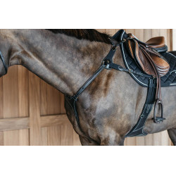 Jachtborsttuig 5 punten met elastieken D Collection Dy'on