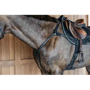 Jachtborsttuig 5 punten met elastieken D Collection Dy'on Jachtborsttuig 5 punten met elastieken D Collection Dy'on