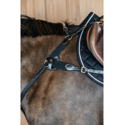 Jachtborsttuig 5 punten met elastieken D Collection Dy'on Zwart Jachtborsttuig 5 punten met elastieken D Collection Dy'on Zwart