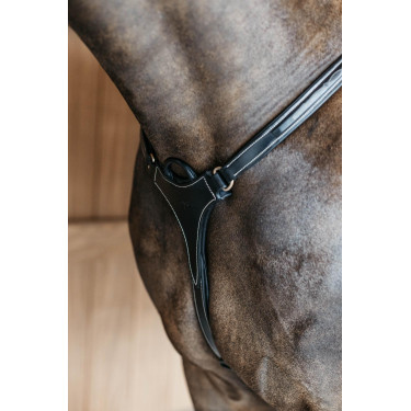 Jachtborsttuig 5 punten met elastieken D Collection Dy'on Jachtborsttuig 5 punten met elastieken D Collection Dy'on