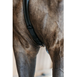 Jachtborsttuig 5 punten met elastieken D Collection Dy'on Zwart Jachtborsttuig 5 punten met elastieken D Collection Dy'on Zwart