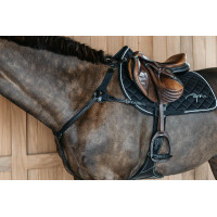 Borsttuig met 5 punten met elastieken New English Collection Dy'on Zwart