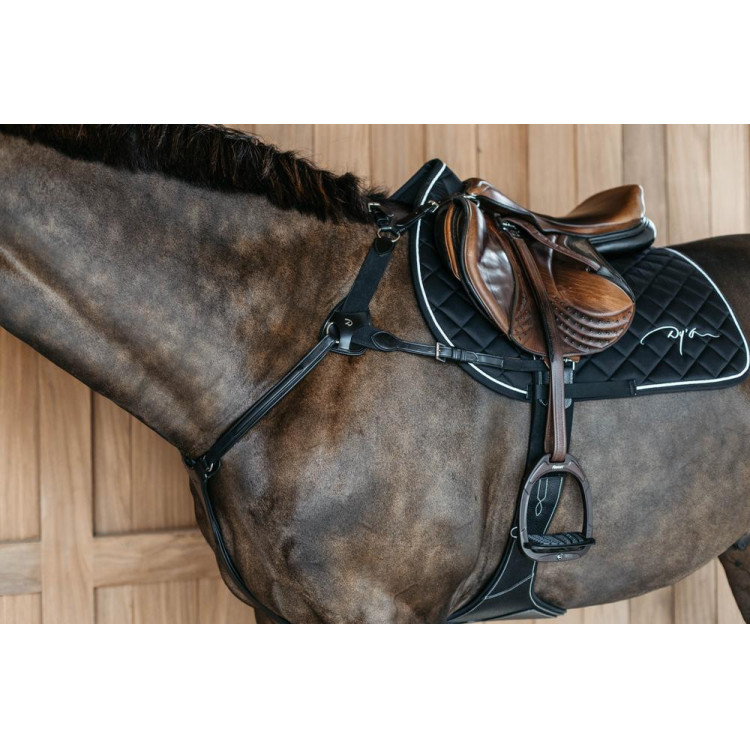 Borsttuig met 5 punten met elastieken New English Collection Dy'on