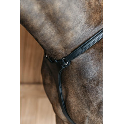 Borsttuig met 5 punten met elastieken New English Collection Dy'on Zwart
